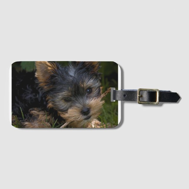 Etiqueta Para Maletas yorkie con palo (Anverso horizontal)