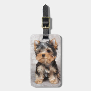 Etiqueta Para Maletas Yorkie maravilloso