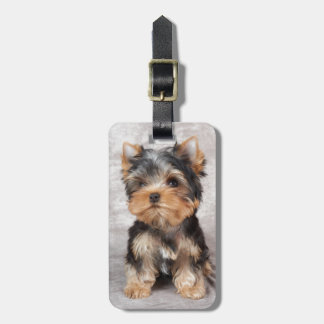 Etiqueta Para Maletas Yorkie maravilloso