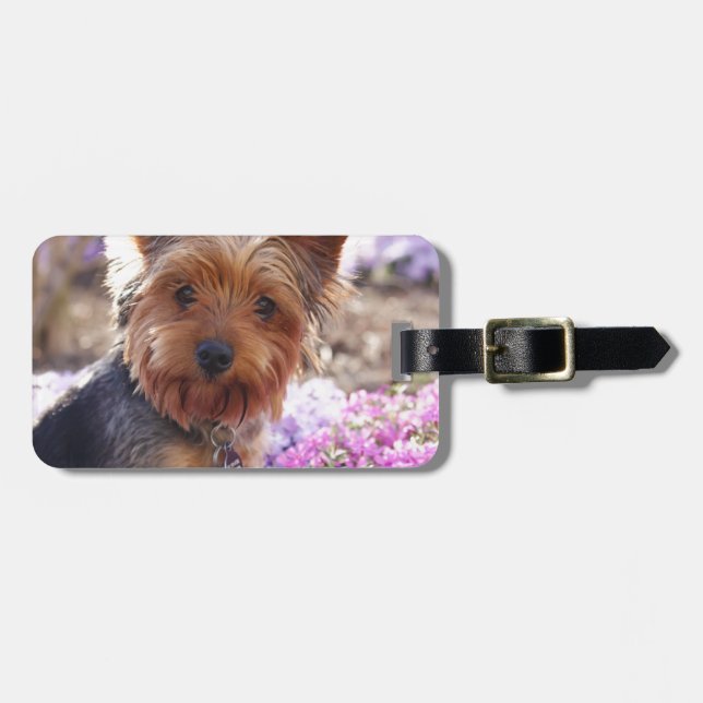 Etiqueta Para Maletas Yorkshire Terrier (Frente Horizontal)