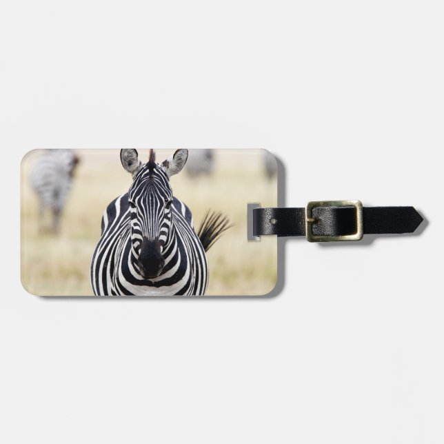 Etiqueta Para Maletas Zebra mirándote (Frente Horizontal)