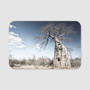 Etiqueta Para Nombres Árbol de baobab en el Parque Nacional de Mana Pool