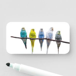 Etiqueta Para Nombres Budgies