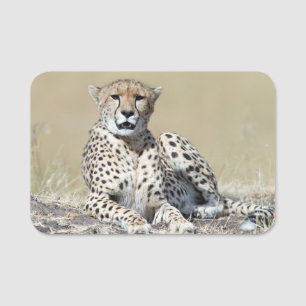 Etiqueta Para Nombres Cheetah