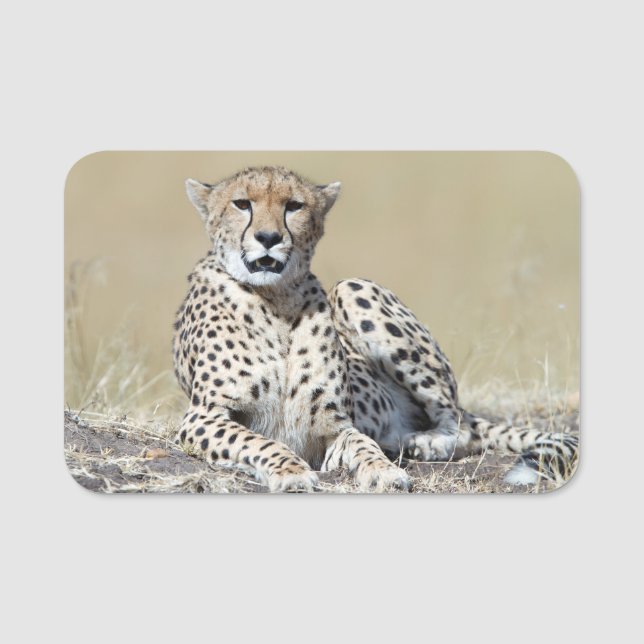 Etiqueta Para Nombres Cheetah (Anverso)