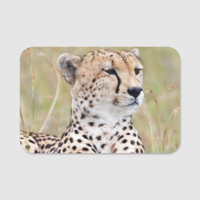 Etiqueta Para Nombres Cheetah (Anverso)