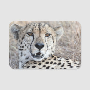 Etiqueta Para Nombres Cheetah Portrait