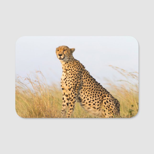 Etiqueta Para Nombres Cheetah Portrait (Anverso)