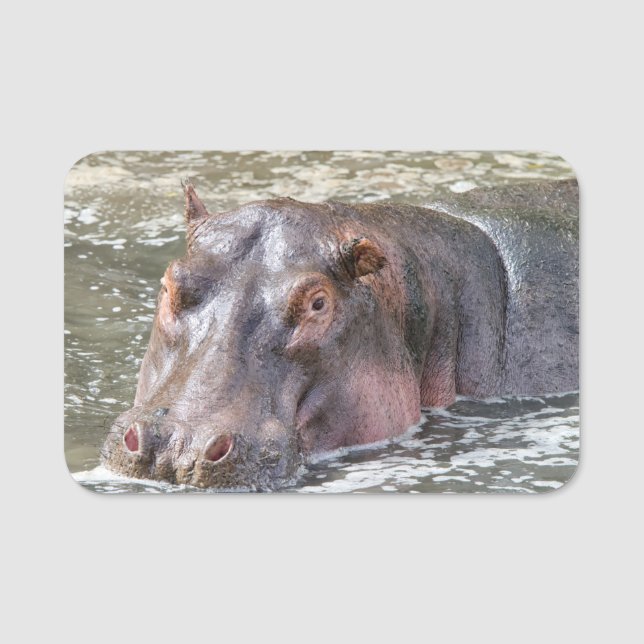 Etiqueta Para Nombres Feliz Hippo (Anverso)