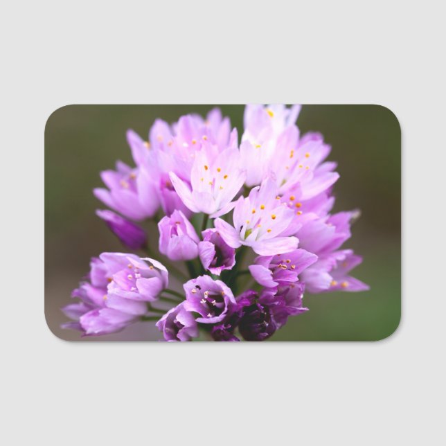 Etiqueta Para Nombres Flor silvestre (Anverso)