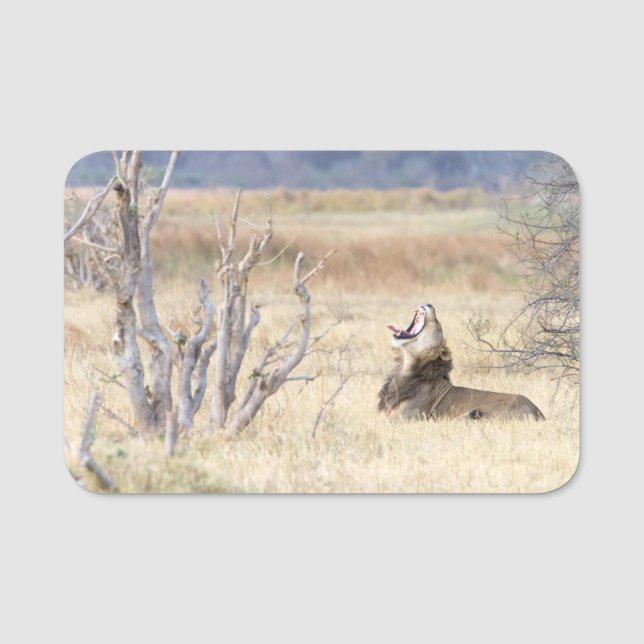 Etiqueta Para Nombres León de Yawning (Anverso)