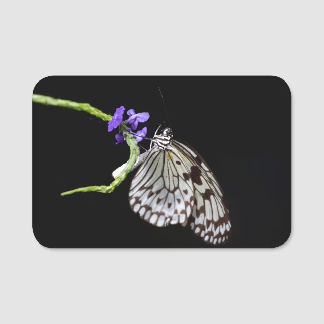 Etiqueta Para Nombres Mariposa (Anverso)