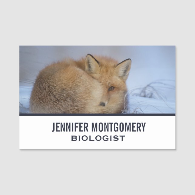 Etiqueta Para Nombres Pequeño Fox Maldita Foto De Invierno (Anverso)