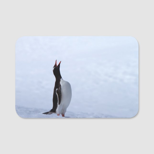 Etiqueta Para Nombres Pingüino de Gentoo (Anverso)