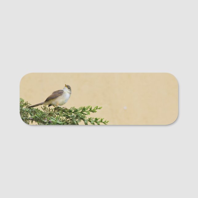 Etiqueta Para Nombres Sparrow (Anverso)