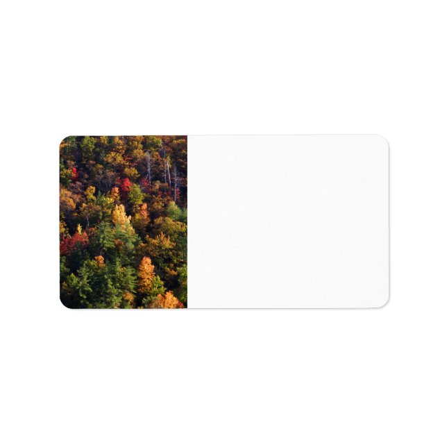 Etiqueta Parque nacional Gran Montaña Smoky (Frente)