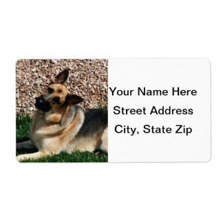 Etiqueta Pastor Alemán Típico