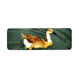 Etiqueta Pato
