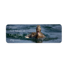 Etiqueta Pato abierto con pico