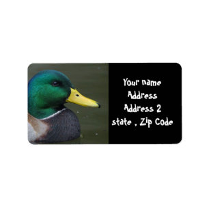 Etiqueta Pato del pato silvestre