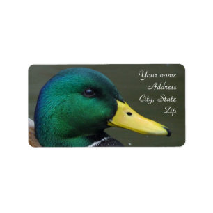 Etiqueta Pato del pato silvestre