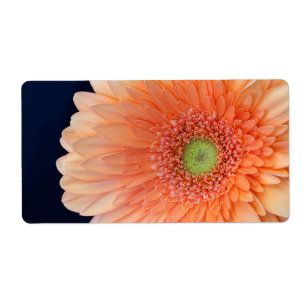 Etiqueta Peach Gerbera