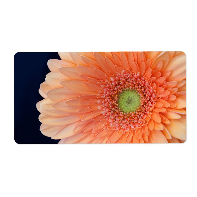 Etiqueta Peach Gerbera (Frente)