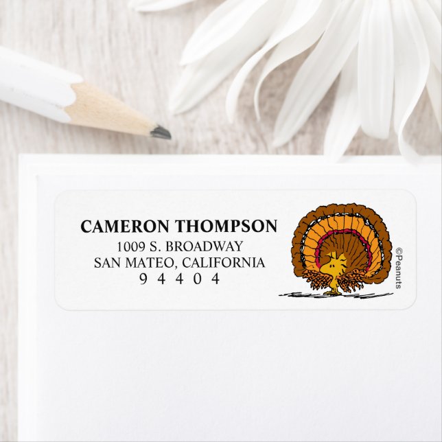 Etiqueta Peanuts | Be Thankful Woodstock Turkey (In situ)