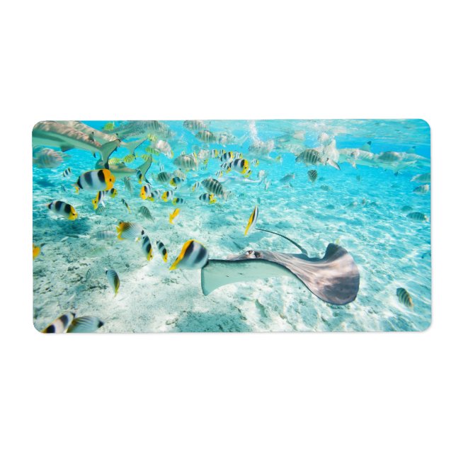 Etiqueta Peces tropicales (Frente)