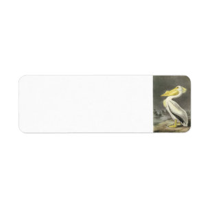 Etiqueta Pelican blanco estadounidense por Audubon