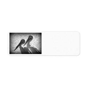 Etiqueta Pelican Pals en negro