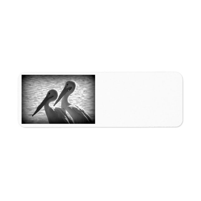 Etiqueta Pelican Pals en negro (Frente)