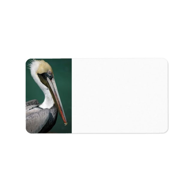 Etiqueta Pelícano (Frente)