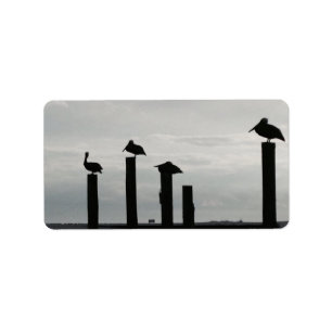 Etiqueta pelícanos en el embarcadero