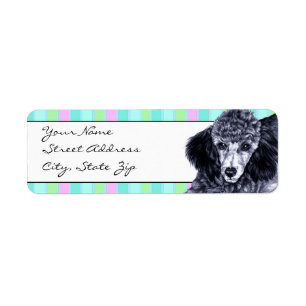 Etiqueta Pencil Poodle