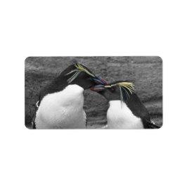 Etiqueta Penguin Colour Splash