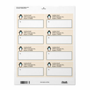 Etiqueta Penguine with Mask Christmas Shipping Label