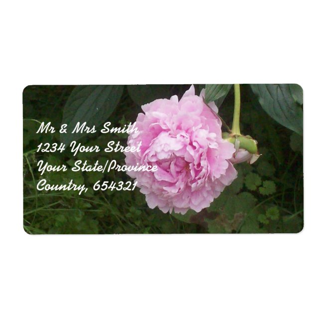 Etiqueta Peonies rosados (Frente)