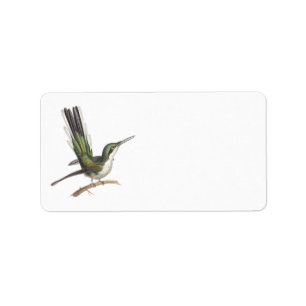 Etiqueta Pequeño colibrí verde bonito por la lección de
