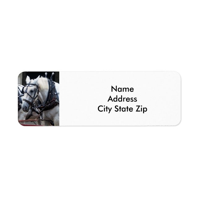 Etiqueta Percheron Borrador de caballo (Frente)