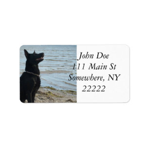 Etiqueta Perfil Alsatian negro