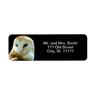 Etiqueta Perfil cercano de la lechuza común