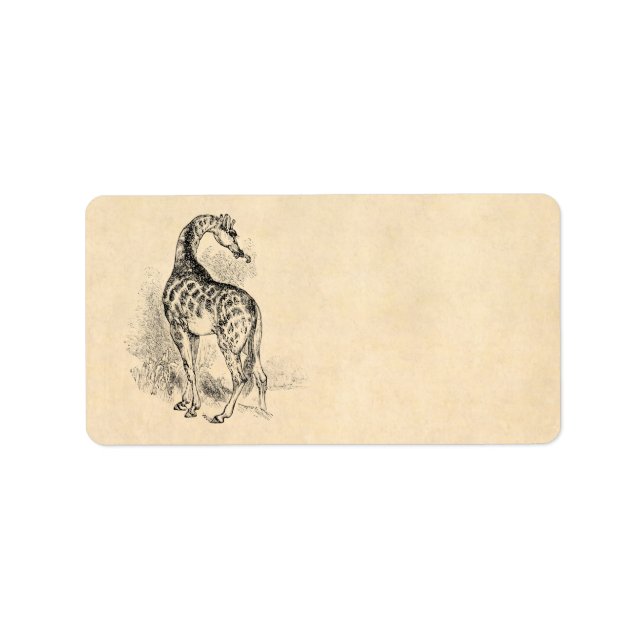 Etiqueta Pergamino de Ilustracion retro Giraffe de época de (Frente)