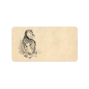 Etiqueta Pergamino retro del ilustracion de la jirafa de