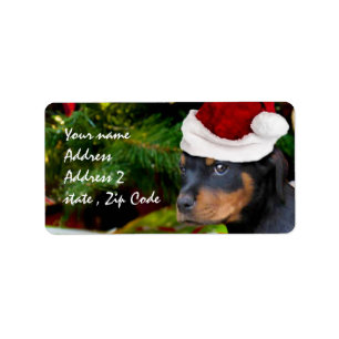 Etiqueta Perrito de Rottweiler del navidad