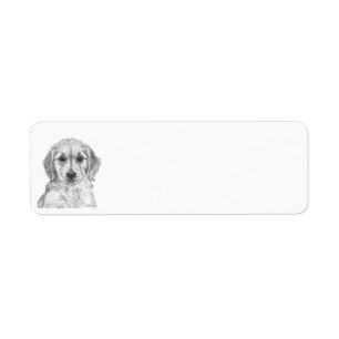 Etiqueta Perrito del golden retriever
