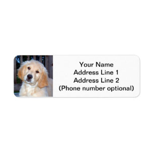 Etiqueta Perrito del golden retriever