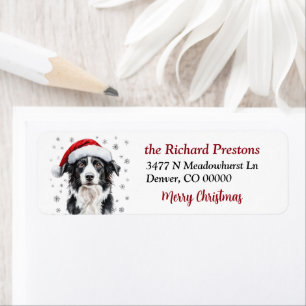 Etiqueta Perro Border Collie con Gorro de Santa Dirección d