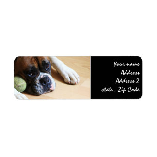 Etiqueta Perro Boxer