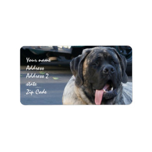 Etiqueta Perro Brindle del mastín